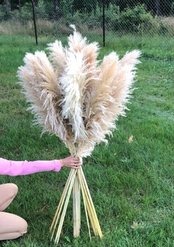 ДЕЛЮКС ПАМПАССКАЯ ТРАВА 150см С ДЛИННЫМ ПЕРЕМЫЧЕМ