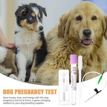 Rurka wykrywająca Test ciążowy Kot Test ciążowy Pies