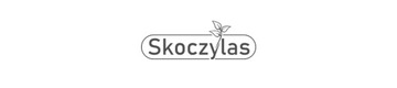 KOLAGEN z dorsza + WITAMINA C proszek SKOCZYLAS