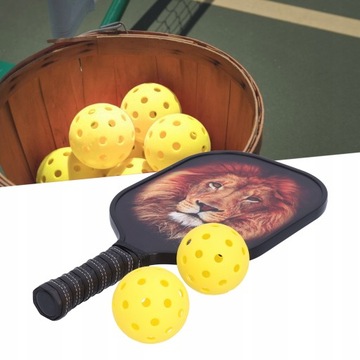 LEIJIAER Набор для лица Pickleball Paddle