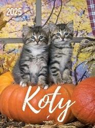 KALENDARZ 2025 WIELOPLANSZOWY B4 KOTY