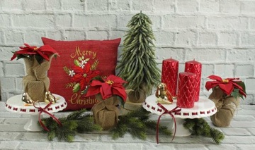 Вифлеемская звезда в белом горшке диаметром 26 см.