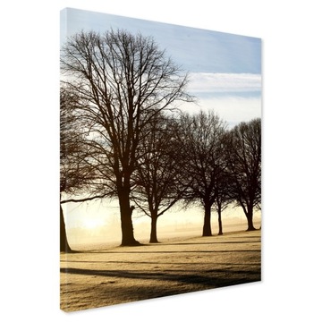 Obraz na płótnie drzewa pole 50x70