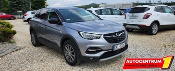 Opel 2020 Opel Grandland X Tylko 66.ooo km Kamera Navi MOZLIWA ZAMIANA 1.2 Benzyna, zdjęcie 11