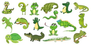 КРУЖКА ДЛЯ ЛЮБИТЕЛЕЙ ЖИВОТНЫХ ЧЕРЕПАХА ЛЯГУШКА ЗМЕЯ ЯЩЕРИЦА