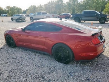 Ford Mustang VI Fastback Facelifting 5.0 Ti-VCT 450KM 2021 Ford Mustang Gt 2021 5.0l 5.0 Benzyna 450KM, zdjęcie 1