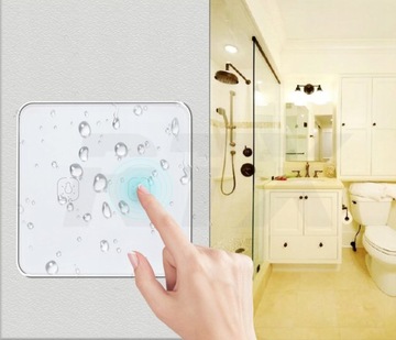 2-канальный сенсорный пульт дистанционного управления ZigBee Tuya