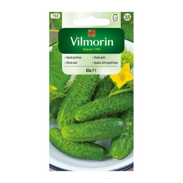 OGÓREK grutnowy wczesny ELA F1 5g VILMORIN