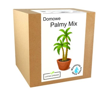 Zestaw do uprawy PALM nasiona palmy MIX egoztyczne