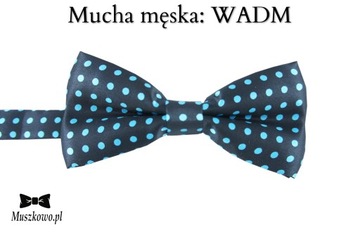 Szelki i mucha dla MATEMATYKA KOLOROWE CYFERKI 16