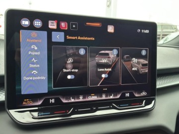 Cupra Terramar SUV 2.0 TSI 204KM 2026 Cupra Terramar Advantage Edition 2.0 TSI 204 KM DS, zdjęcie 17