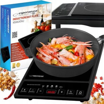 KUCHENKA INDUKCYJNA JEDNOPALNIKOWA PŁYTA GRZEWCZA