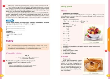 NOWE REPETYTORIUM SZKOŁA PODSTAWOWA CHEMIA 2024-2026 GREG