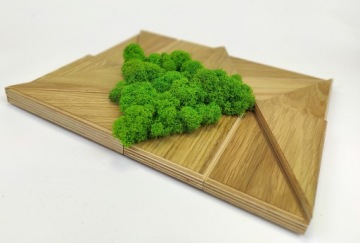 MOZAIKA MECH CHROBOTEK RENIFEROWY OBRAZ Z MCHU POMYSŁ NA NOWOCZESNĄ ŚCIANĘ