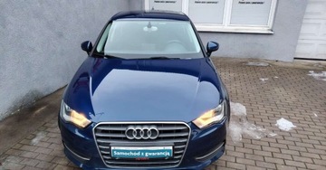 Audi A3 8V Cabriolet 1.6 TDI clean diesel 110KM 2015 Audi A3 Sportback Audi A3 8V 1.6 SUPER STAN SLICZNA ::GWARANCJA 1.6 Diesel, zdjęcie 2