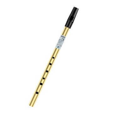 Triditional Irish Tin Whistle Flet 6 Hole Tin