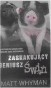 Zaskakujący geniusz świń - Matt Whyman