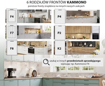 SCMAX30 - Грузовой пост KamMono K2
