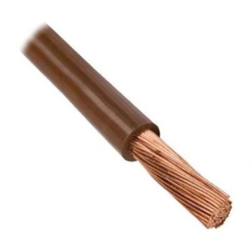 Przewód linkaLGY 10 mm2 750V brązowy