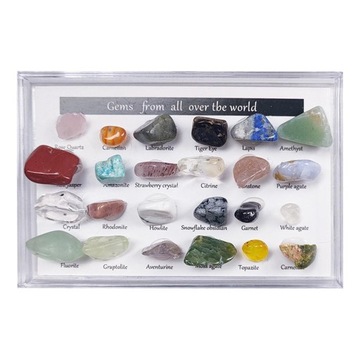 24 szt./pudełko Rock and Mineral & Collection Box