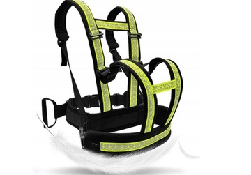 РЕМЕНЬ БЕЗОПАСНОСТИ ДЕТСКИЙ РЕМНЯ МОТОМОТОЦИКЛА