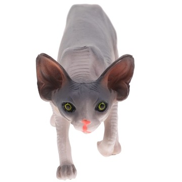 Голая кошка животное модель домашняя кошка
