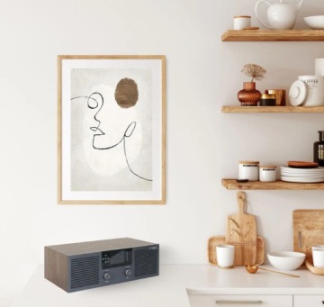 DAB + FM INTERNET BLUETOOTH WiFi TANGENT RADIO FEM