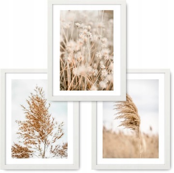 BOHO 3 obrazy 43x53 NATURA TRAWA ramy IKEA #12