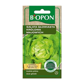 BIOPON NASIONA SAŁATA GŁOWIASTA KRÓLOWA MAJOWYCH DUŻE GŁÓWKI WCZESNA 1G