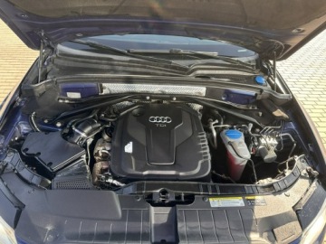 Audi Q5 I SUV Facelifting 2.0 TDI clean diesel 190KM 2016 Audi Q5 8xAlu! El.Klapa, Bixenon, Kamera, Serwis!, zdjęcie 32