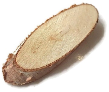 Plaster drewna brzoza owalne skośne podłużne 5-7cm
