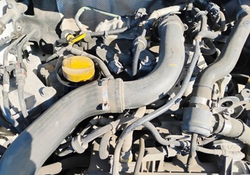 Renault Clio IV Hatchback 5d Facelifting 0.9 Energy TCe 76KM 2019 Renault Clio 2019r Salonowy. 0.9 Benzyna. VAN. Uszkodzony lewy przod. Jezd, zdjęcie 14