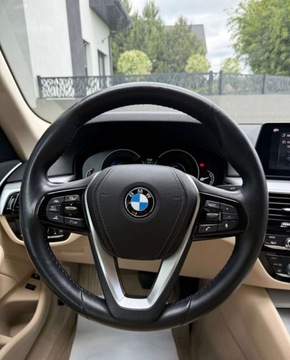 BMW Seria 5 G30-G31 2019 BMW Seria 5 BMW Seria 5 530e Luxury Line sport, zdjęcie 21