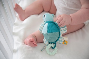 DOLCE TOYS ПОДАРОК ​​НОВОРОЖДЕННОМУ, ЧЕРЕПАХА, ЧЕРЕПАХА