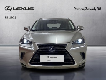 Lexus NX I SUV Facelifting 300h 197KM 2020 Lexus NX 300h Business Edition AWD I (2014-2021) L, zdjęcie 5
