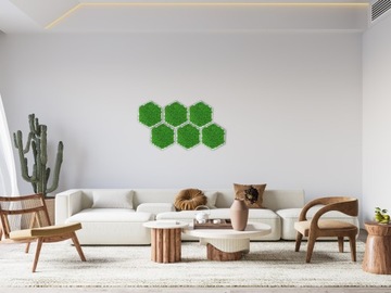 КАРТИНА МОХ в деревянной рамке ШЕСТИГРАННИК мох хроботек ЖИВАЯ КАРТИНА ручной работы