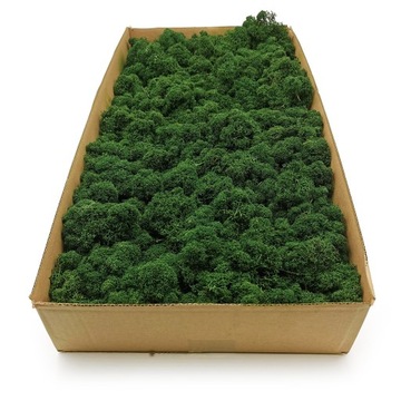 Mech chrobotek fiński 500g netto