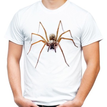 Koszulka z pająkiem domowym t-shirt pająk spider M