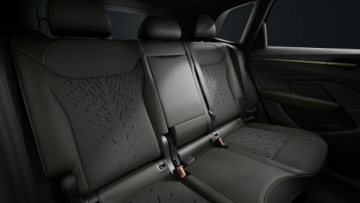 Cupra Terramar 2026 Cupra Terramar VZ Tribe Edition 1.5 e-Hybrid 272, zdjęcie 10