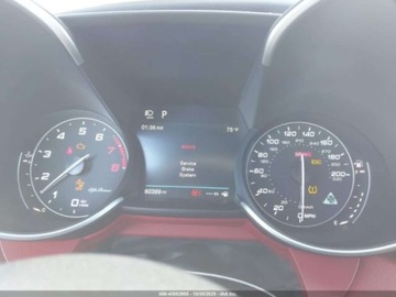 Alfa Romeo Giulia II 2018 Alfa Romeo Giulia Quadrifoglio 2018 2.9l 2.9 Benzyna 505KM, zdjęcie 11