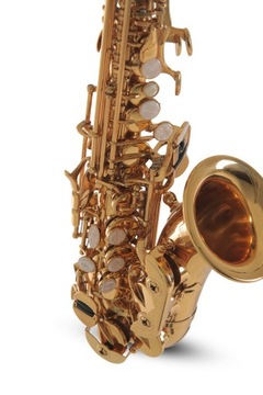 Изогнутый сопрано-саксофон Roy Benson SG-302