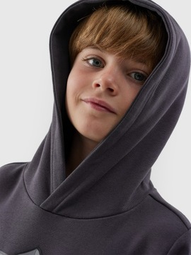 Толстовка для толстовки 4F.