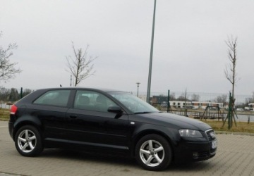 Audi A3 8P Hatchback 3d 2.0 TDI PD 170KM 2007 Audi A3 3-drzwiowe 2.0TDi Quattro Podgrzewane Fotele 2.0 Diesel 170KM, zdjęcie 22