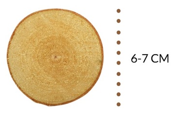 Plastry drewna, krążki drewniane 6-7 cm, 2 szt.