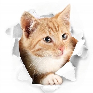 Naklejka na ścianę meble Kot Kotek 3D Dziura