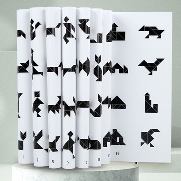TANGRAM KLOCKI MAGNETYCZNE DREWNIANA UKŁADANKA Z chłopcem Prezent