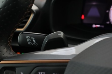 Cupra 2022 Cupra Formentor 1.5 TSI, Salon Polska, Serwis ASO, zdjęcie 19