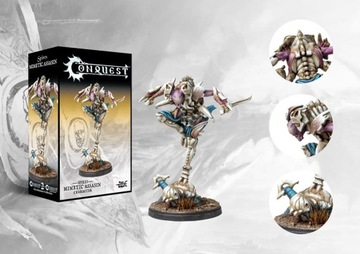 Conquest: Spires: Mimetic Assassin