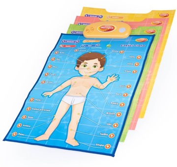 Dumel Развивающие плакаты АНАТОМИЯ ЧЕЛОВЕКА 5+