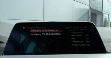 BMW X3 G01 SUV 2.0 20d 190KM 2021 BMW X3 xDrive Automat Navi Parktronic Sport Tempomat Alu FV23, zdjęcie 31